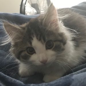 Meet your Posher, Miriam